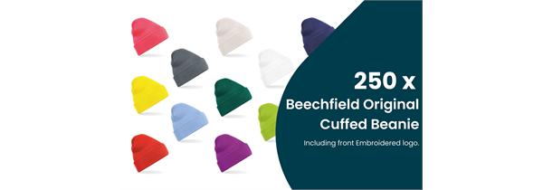 250 Beechfield Beanies & FREE logo