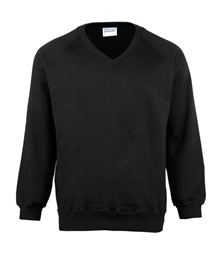 Coloursure? v-neck sweatshirt