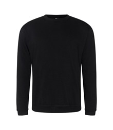Pro sweatshirt